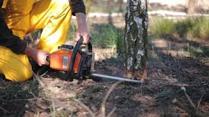 Best Hazardous Tree Removal  in Weddington, NC